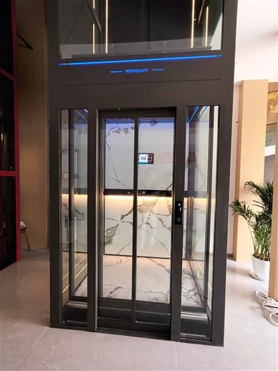 3000-3 Series Back Counterweight High-end 270 Panoramic Residential Elevator